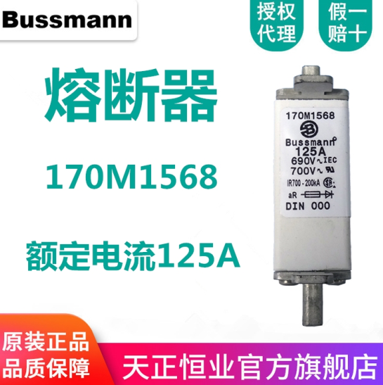 bussmann 歐標方體熔斷器 170M1568